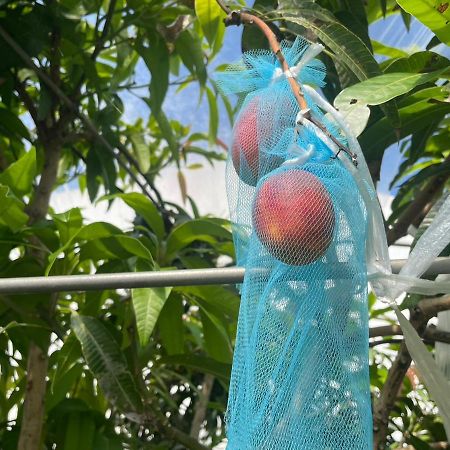 Hotel Sha La La Okinawa Kültér fotó